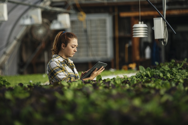 Green Business - Woman with tablet
