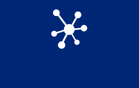 Netzwerk Spinne